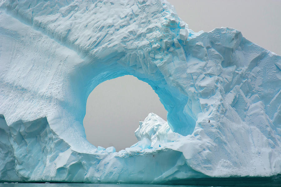 Antarctica Charlotte Bay Giant Iceberg Photograph By Inger Hogstrom ...