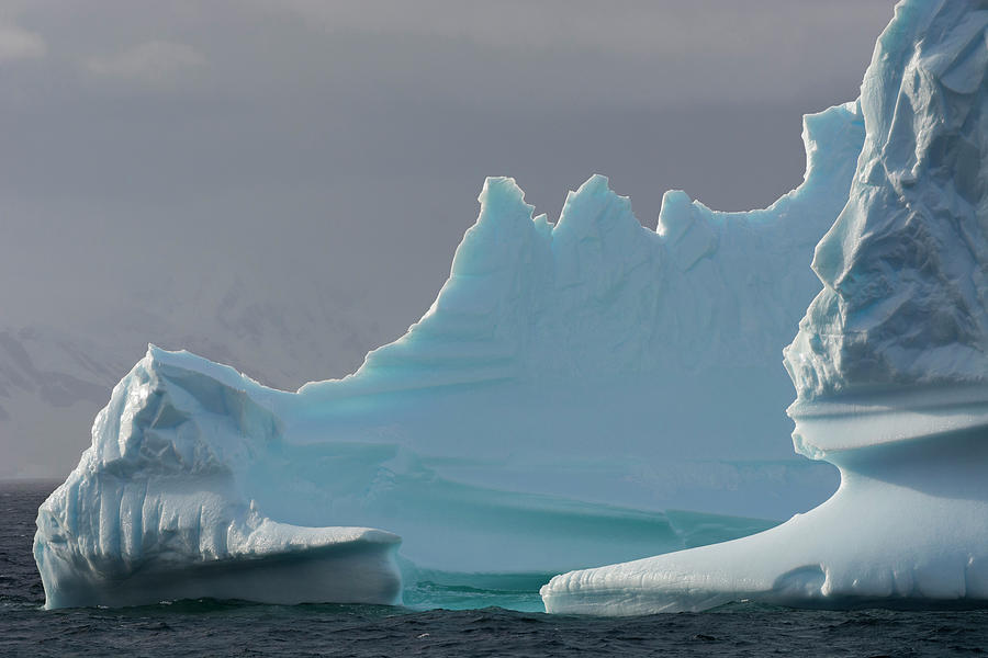 Antarctica Gerlache Strait Highly Photograph by Inger Hogstrom