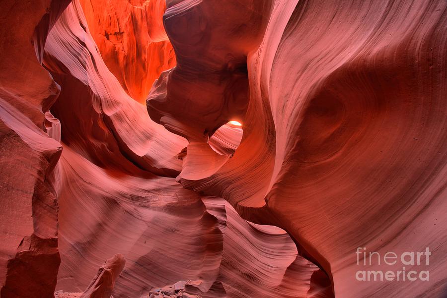 Antelope Abstract Photograph by Adam Jewell
