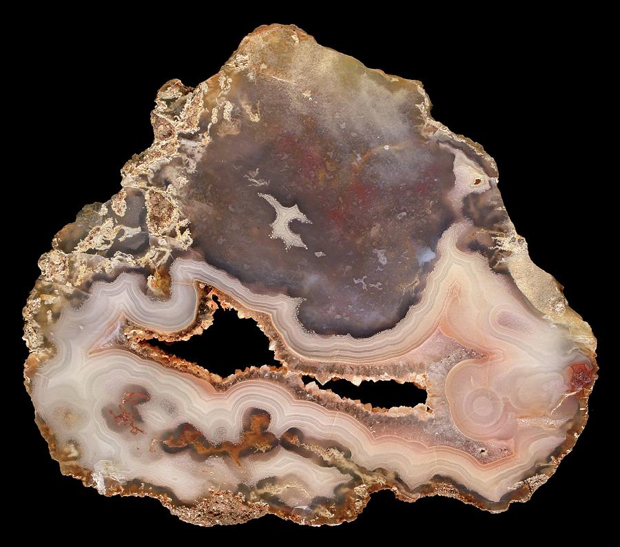 Antelope Agate Photograph by Natural History Museum, London/science Photo Library