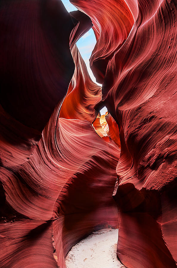 Antelope Ascent Photograph by Jason Chu