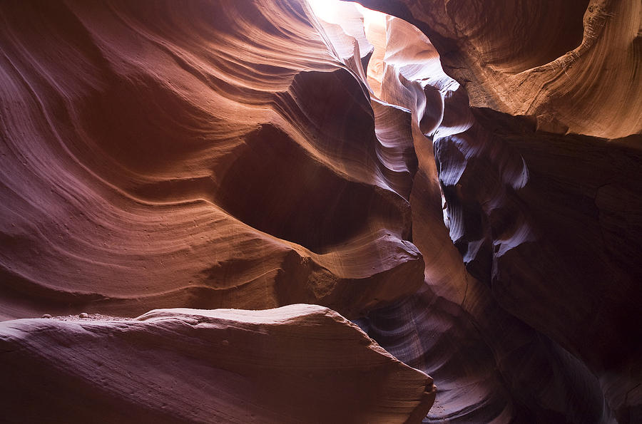 Antelope Photograph - Antelope Canyon 1 by David Halter Antelope Photograph - Antelope Canyon 1 by David Halter