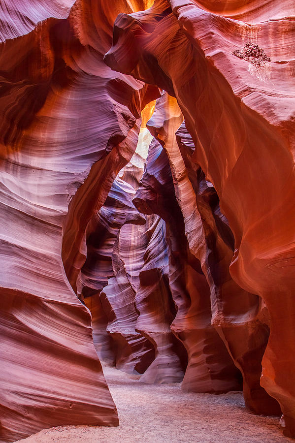 Nature Photograph - Antelope Canyon Arizona by Pierre Leclerc Photography