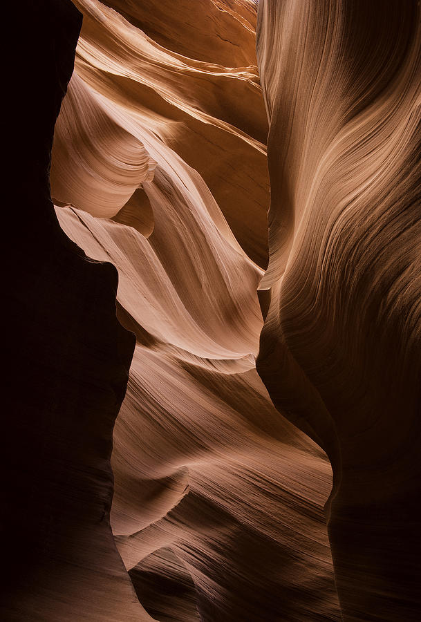 Antelope Canyon - Lower Photograph by Steve Williams
