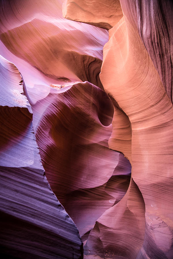Antelope Canyon Navajo Sandstone Sculptures No.11 Photograph by Levin Rodriguez
