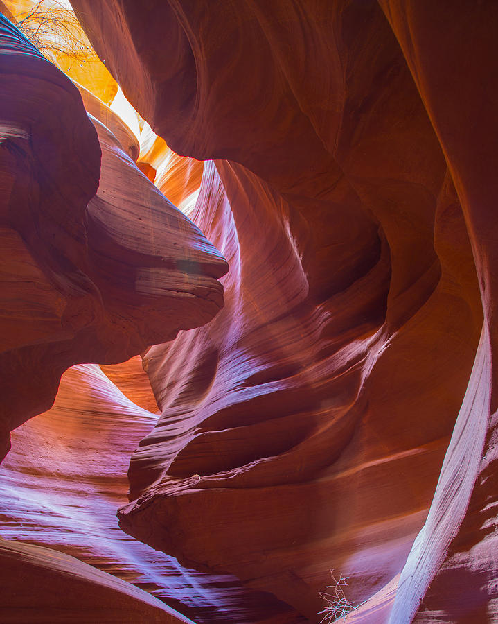 Antelope Canyon No. 13 Photograph by Jim Snyder