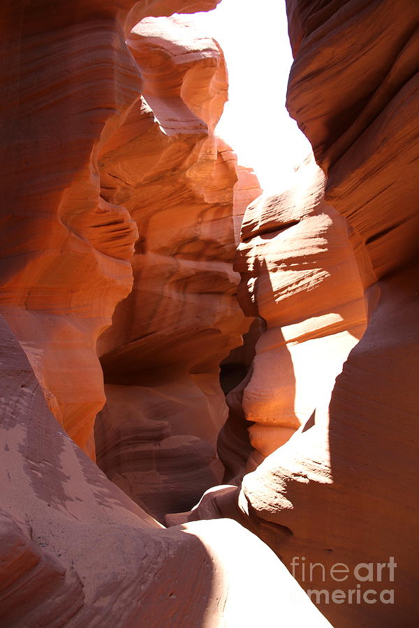 Antelope Canyon Sculptures Photograph by Christiane Schulze Art And Photography