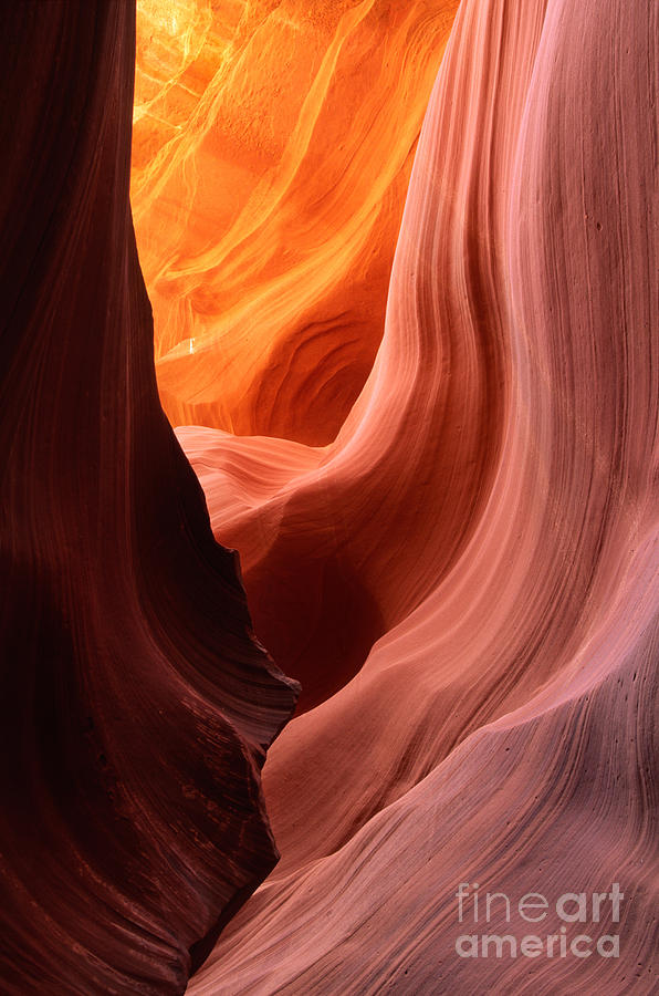 Antelope Drapes Photograph by Inge Johnsson Antelope Drapes Photograph by Inge Johnsson
