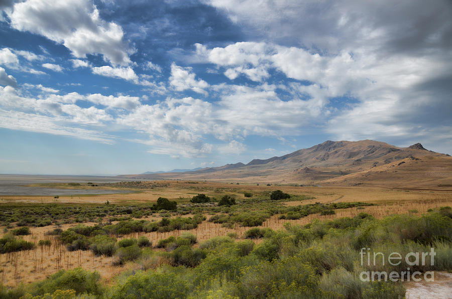 Antelope Island Park Utah Photograph by Donna Greene