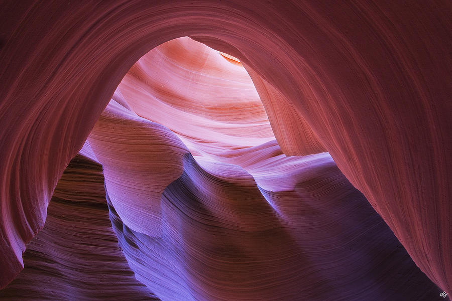 Antelope Wave Photograph by Peter Coskun