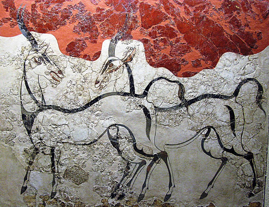 Antelopes fresco Photograph by Andonis Katanos