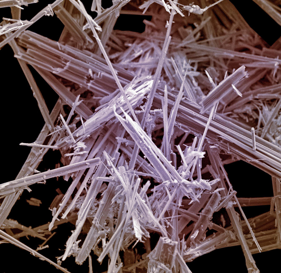 Anthophyllite Asbestos Photograph by Science Stock Photography/science Photo Library