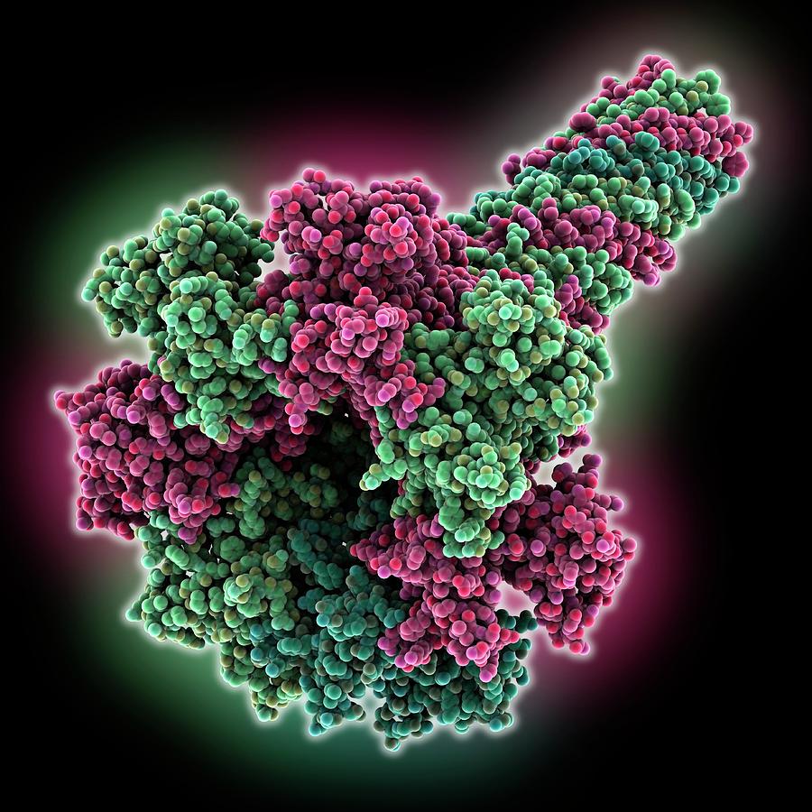 Anthrax Protective Antigen Pore Photograph by Laguna Design/science Photo Library