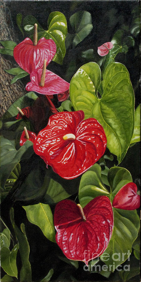 Anthuriums Painting By Pati O Neal Pixels   Anthuriums Pati Oneal 