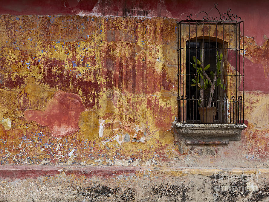 Antigua Wall Photograph by Scott Kerrigan