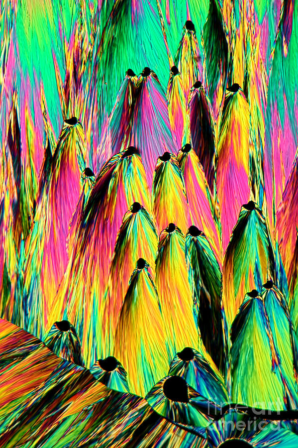 Antipyrine Crystals, Lm Photograph by M. I. Walker