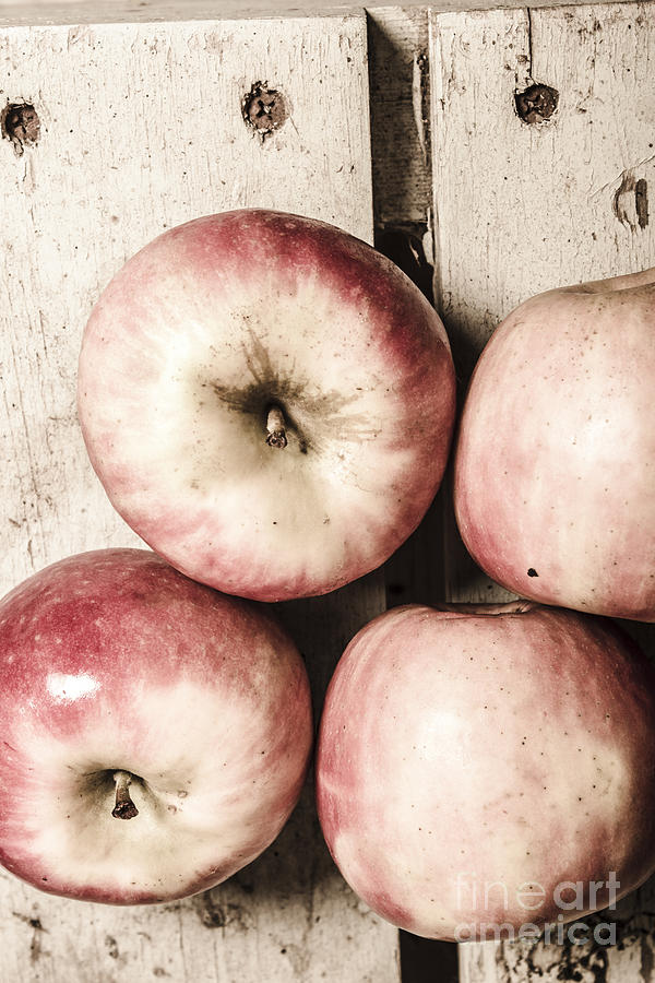 Antique apples Photograph by Jorgo Photography