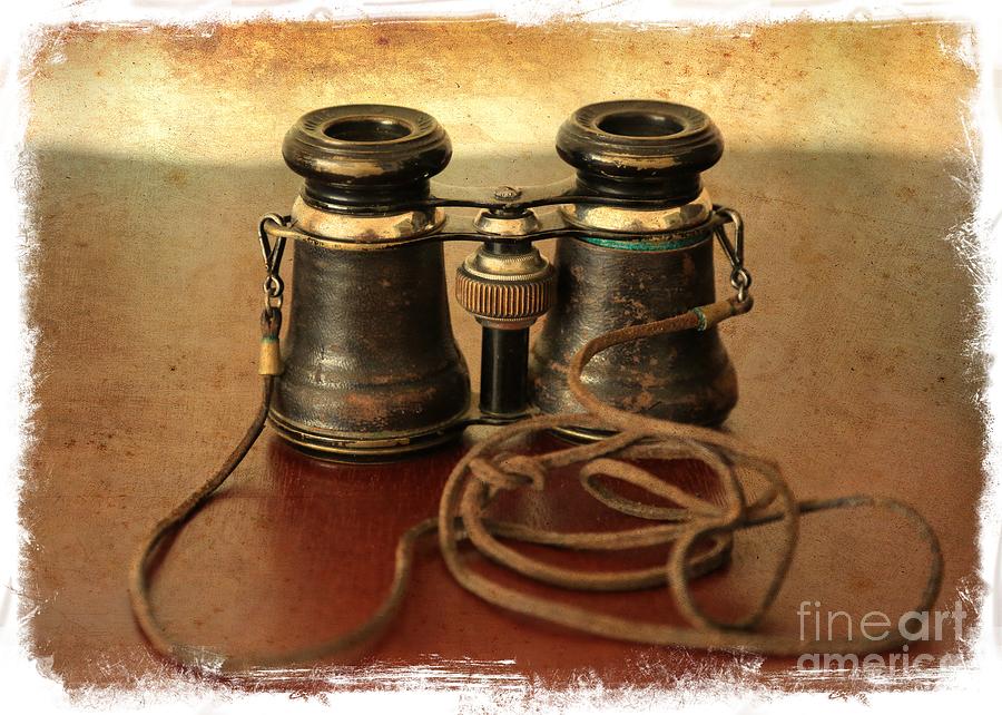 Antique Binoculars Photograph by Carol Groenen