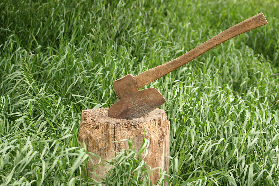 Antique Broad Axe in a Stump of Wood Photograph by Robert Hamm - Fine ...