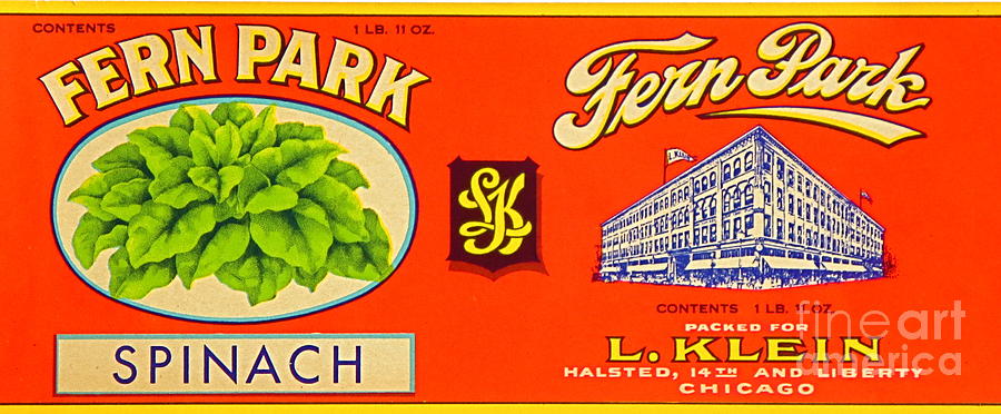 Antique Canned Food Packaging Label. Photograph by Robert Birkenes