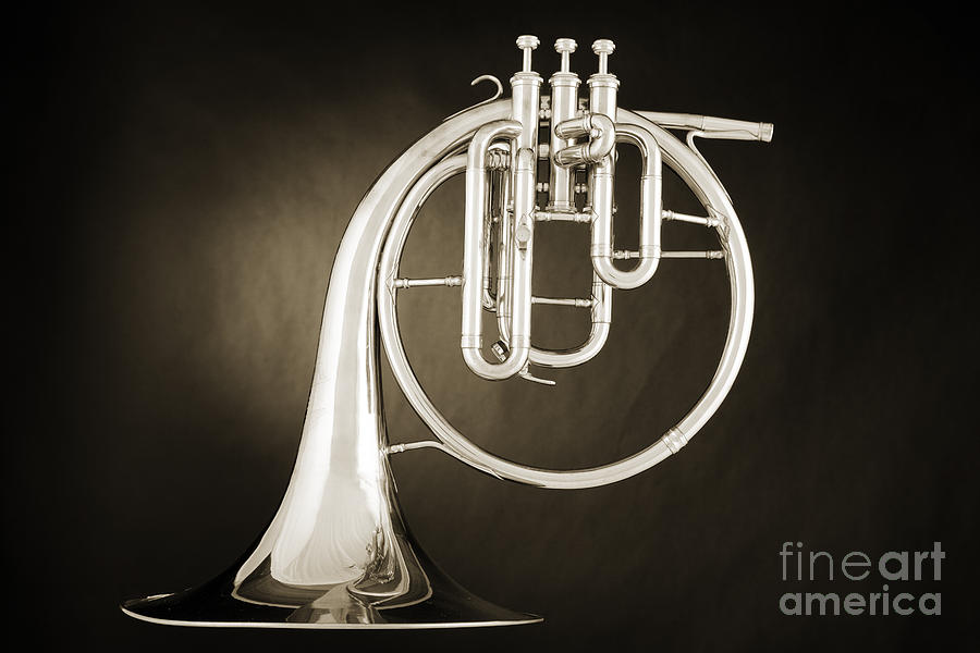 Antique Classic French Horn Music Instrument 3021.01 Photograph by M K Miller