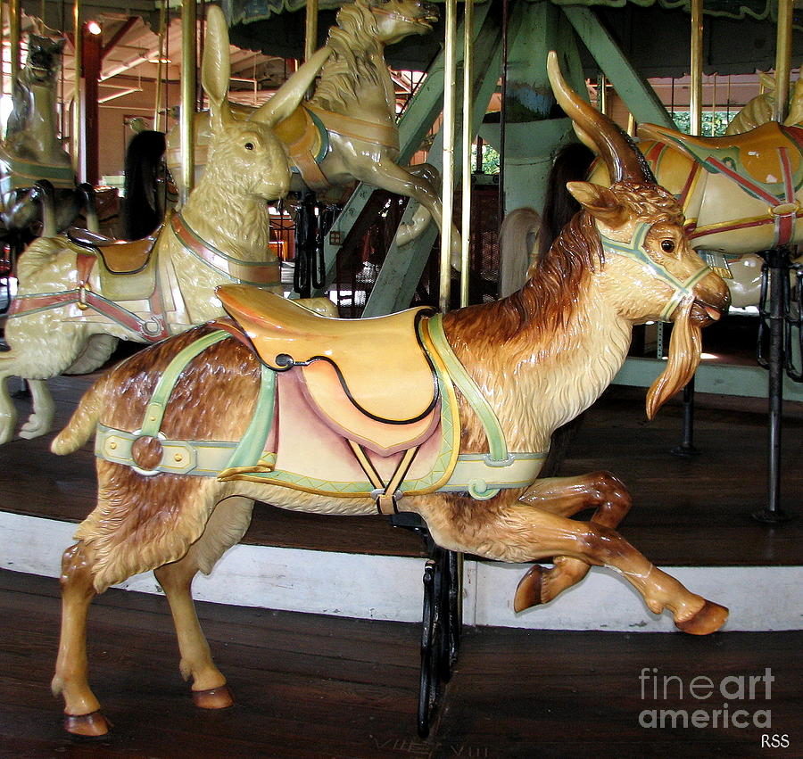 Goat Photograph - Antique Dentzel Menagerie Carousel Goat by Rose Santuci-Sofranko