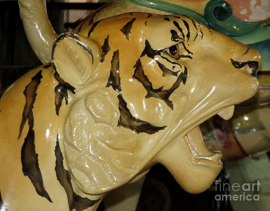 Antique Dentzel Menagerie Carousel Tiger in Rochester New York Photograph by Rose Santuci-Sofranko