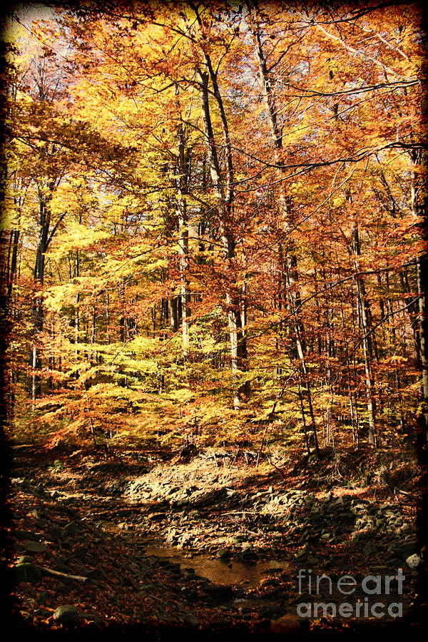 Antique Fall Photograph by Mariola Bitner