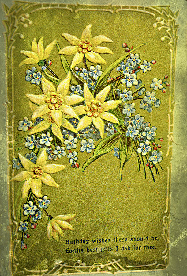 Antique Floral Postcard Photograph by Ally  White