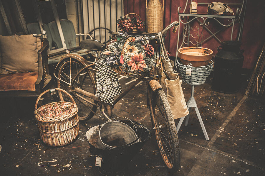 Antique Garden Bicycle Photograph by Toni Hopper