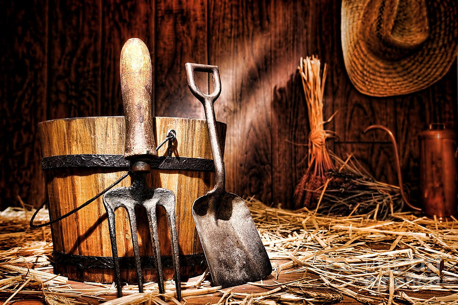 Tool Photograph - Antique Gardening Tools by Olivier Le Queinec