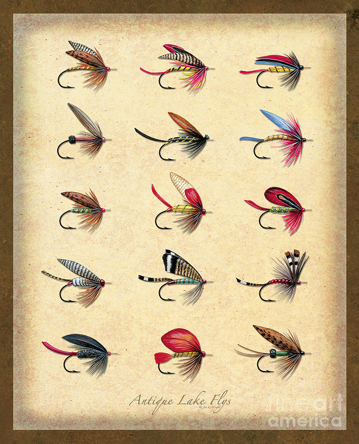 Fish Painting - Antique Lake Flys by JQ Licensing