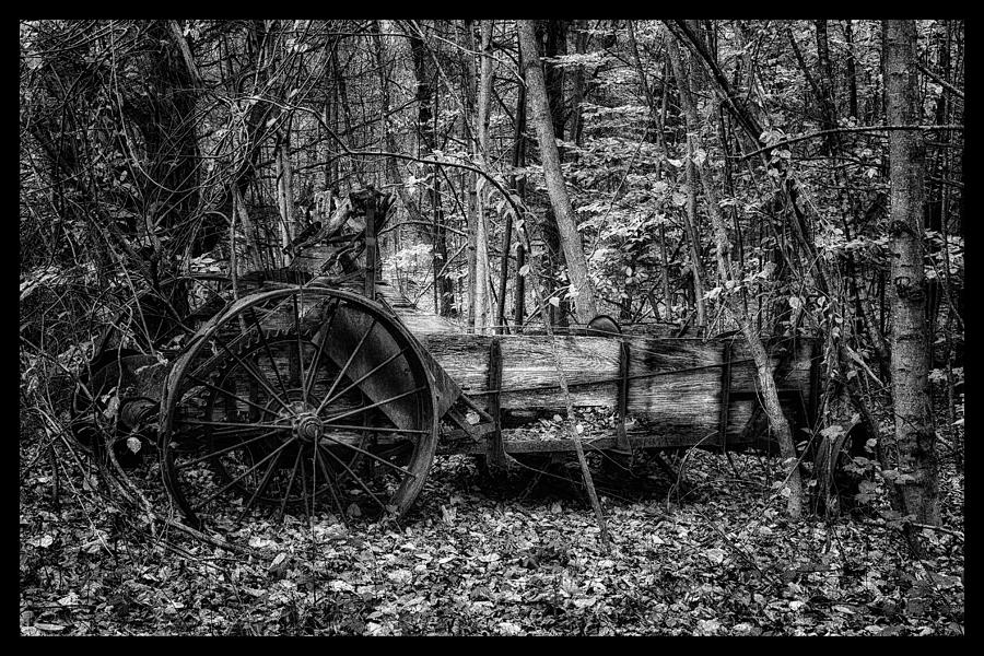 Antique Manure Spreader In The Forest Photograph by Jeff Sinon