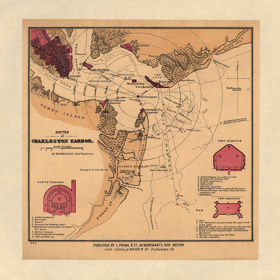 Map Drawing - Antique Map of Charleston Harbor South Carolina by W. A. Williams - circa 1861 by Blue Monocle
