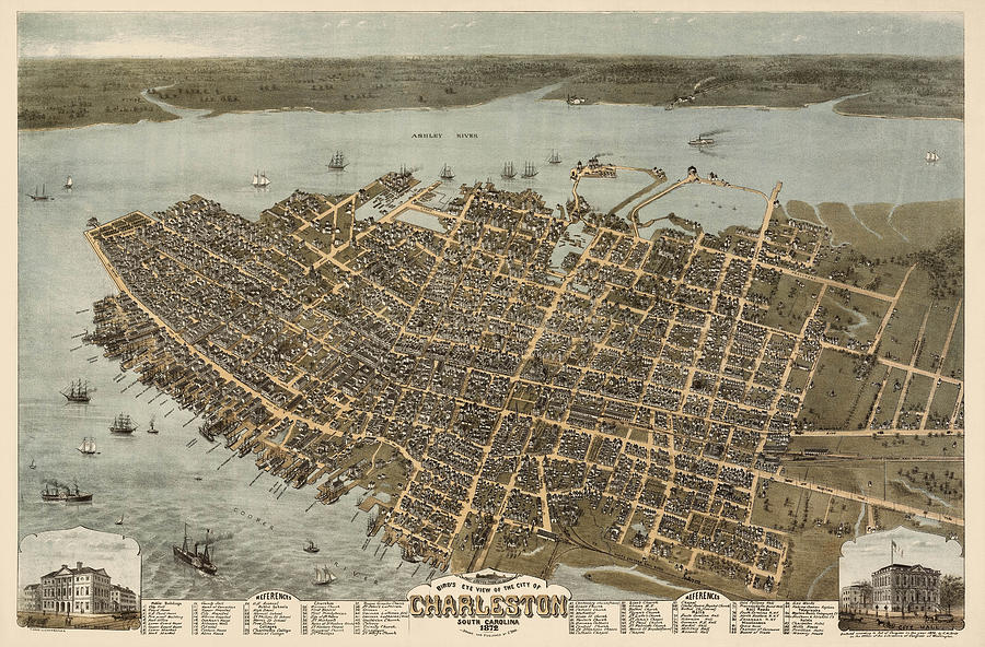 Map Drawing - Antique Map of Charleston South Carolina by C. N. Drie - 1872 by Blue Monocle