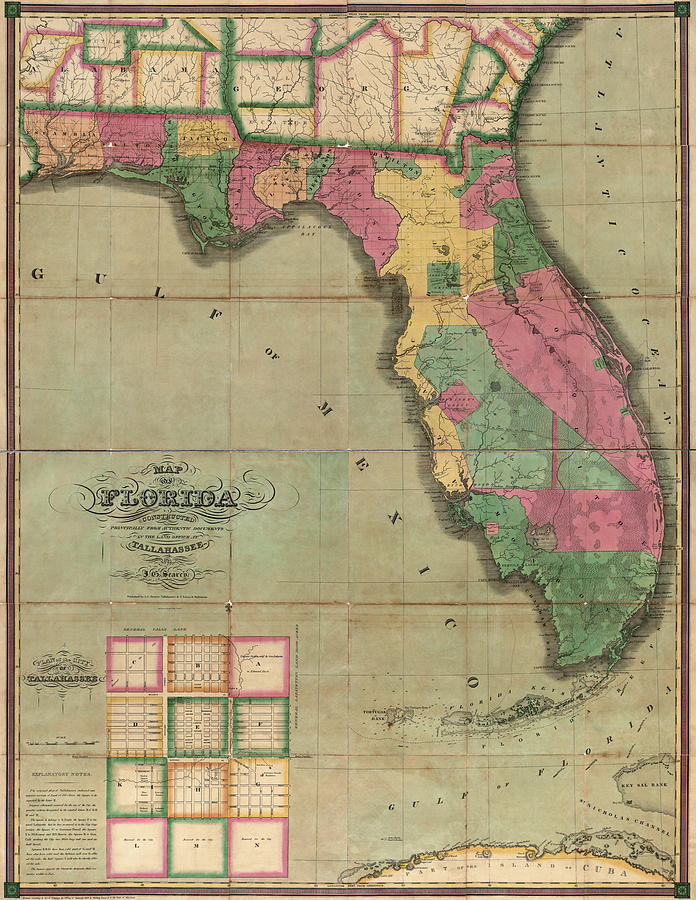 Florida Map Drawing - Antique Map of Florida by I. G. Searcy - 1829 by Blue Monocle
