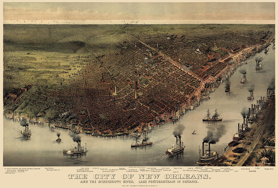 Currier And Ives Drawing - Antique Map of New Orleans by Currier and Ives - circa 1885 by Blue Monocle