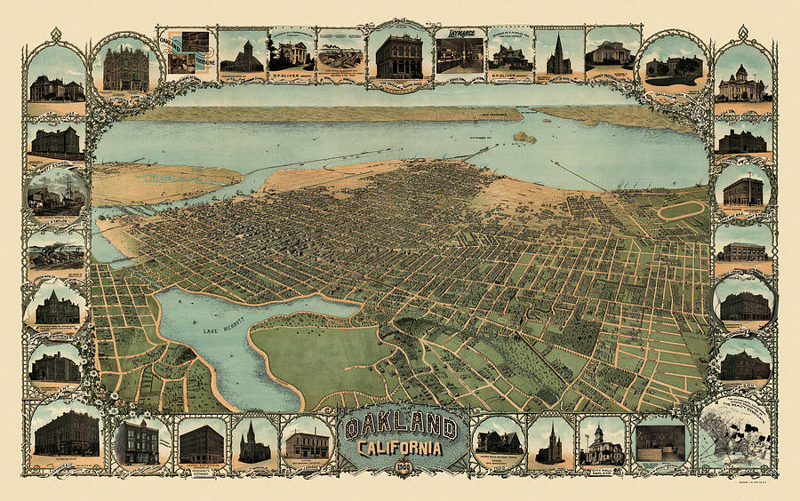 Oakland Drawing - Antique Map of Oakland California by Fred Soderberg - 1900 by Blue Monocle