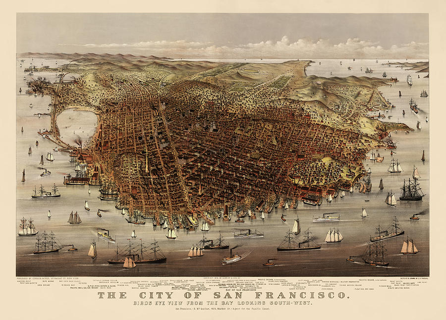 Currier And Ives Drawing - Antique Map of San Francisco by Currier and Ives - circa 1878 by Blue Monocle