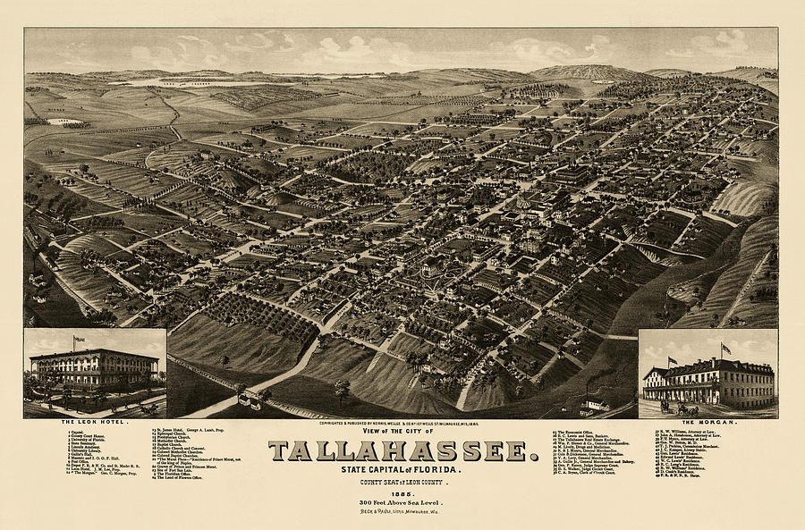 Antique Map of Tallahassee Florida by H. Wellge - 1885 Drawing by Blue Monocle