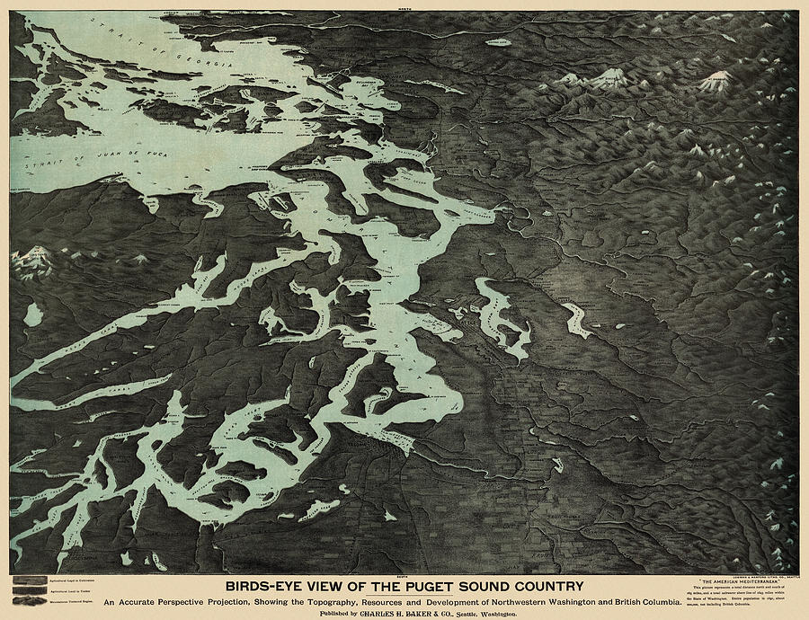 Antique Map of the Puget Sound Washington by Charles H. Baker and Co. - 1891 Drawing by Blue Monocle