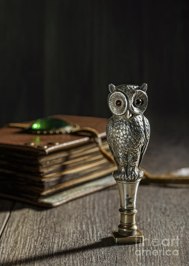 Owl Photograph - Antique Owl Seal by Amanda Elwell