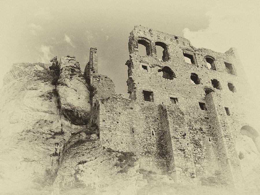 Antique Plate Morsko Castle Ruins Photograph by Maciek Froncisz