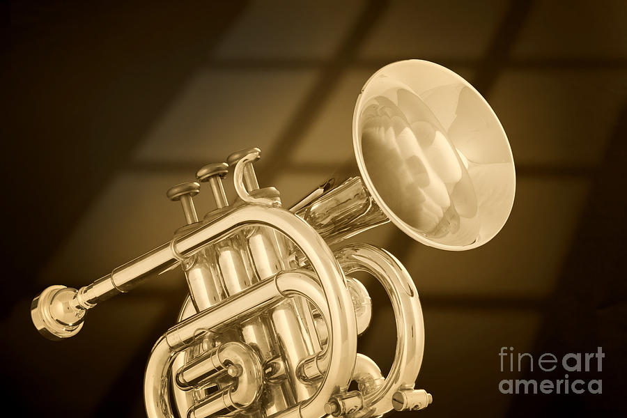 Jazz Photograph - Antique Pocket Trumpet by M K Miller