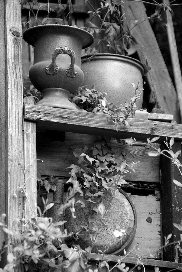 Antique Pots 2 Photograph by Richard J Cassato