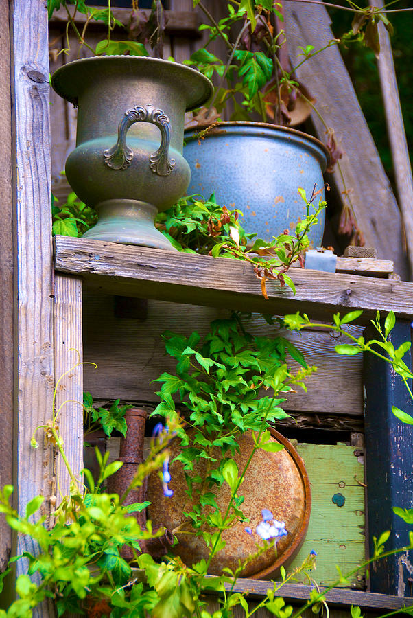 Antique Pots Photograph by Richard J Cassato