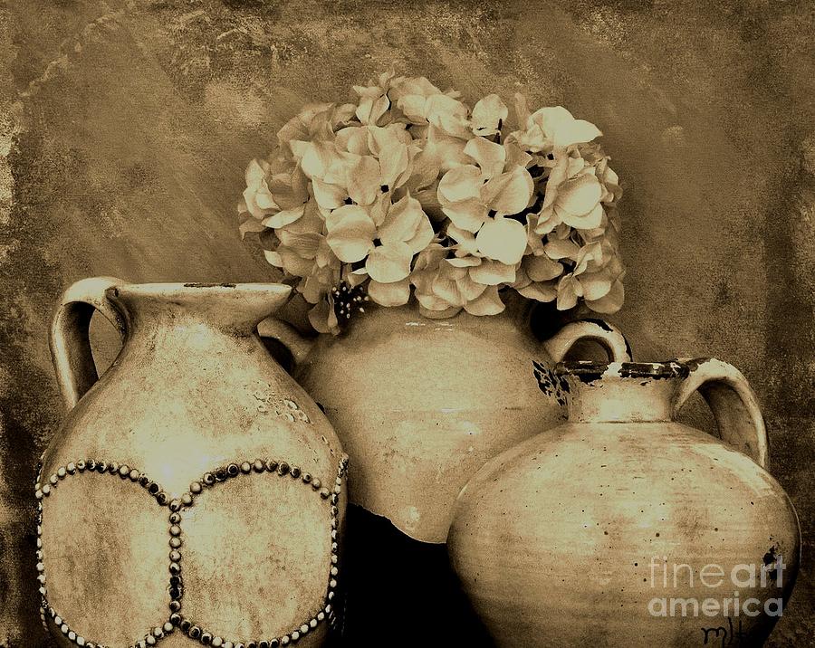 Digital Photograph - Antique Pottery and Hydrangea by Marsha Heiken