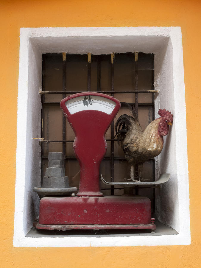 Rooster Photograph - Antique Scale by Stefania Levi