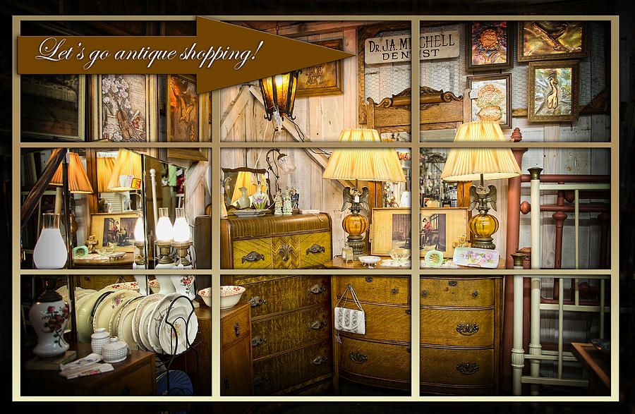 Antique shopping Photograph by Bonnie Barry