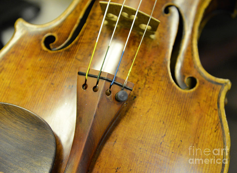 Antique Stradivarius from 1722 Photograph by David Bearden